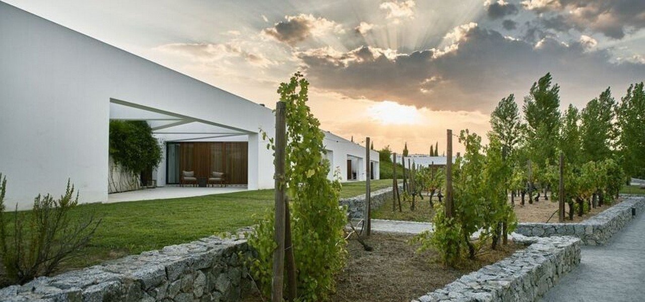 winery l'and vineyards